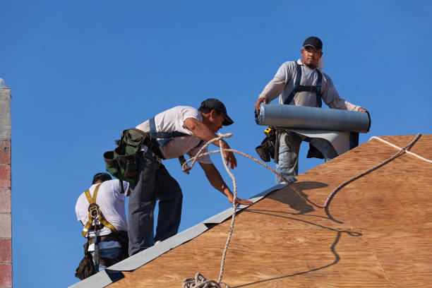 Best Roof Repair Services  in Burney, CA