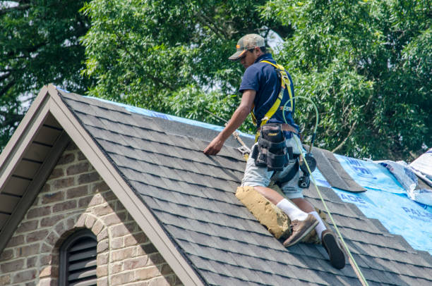 Best Roof Restoration Services  in Burney, CA
